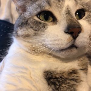 Meet your Posher, Sonya